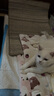喵仙儿猫抓板剑麻垫耐磨不掉屑防猫爪沙发保护墙贴猫抓垫猫咪用品 60*90 实拍图