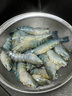 渔游记罗氏虾沼虾3斤鲜活冷冻新鲜大头虾超大虾巨型淡水河虾水产虾类 罗氏虾12-16只/斤 1500g(净重) 实拍图