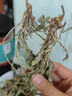 草木方 车前草中药材车前草猫爪草泡茶新鲜干货整株车轮草100g 实拍图