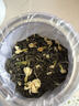 正宗胖东来茉莉花茶 茉莉花茶2025新茶浓香型茉莉飘雪绿茶叶 【5A特级茉莉飘雪】1小罐250g 比同价格品质.更香10倍【不香包退款 有运费险】 实拍图