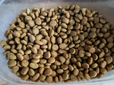 皇家绝育成猫粮 SA37通用粮 1-7岁2KG 实拍图