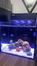 方小章背滤海水缸全套小丑鱼珊瑚缸新手中小型客厅桌面方缸超白玻璃鱼缸 HB350-标配+挡板 实拍图