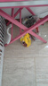 宝路狗粮 成犬狗粮中小型犬15斤 泰迪全犬种通用全价粮7.5kg鸡肉味 实拍图