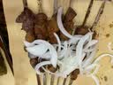 王小卤虎皮凤爪 卤鸡爪 独立包装卤味零食 休闲解馋办公室零食 开袋即食 【虎皮鸡爪2袋装】卤香味105g+黑鸭味105g 实拍图