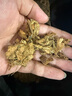 漫德莱大块粗椰壳 椰砖椰糠砖约8.2斤兰花营养土君子兰椰土蝴蝶兰种植土 实拍图