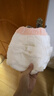 碧芭宝贝大鱼海棠拉拉裤L32片(9-14kg)裤型尿不湿 干爽透气 秋冬不闷 实拍图