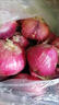 【新鲜现挖】当季紫皮红洋葱深紫色生吃水果洋葱蔬菜批发包邮 9斤现挖新鲜紫皮洋葱实惠推荐 实拍图