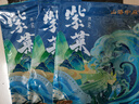 福建紫菜干货 无沙免洗独立包装 高泡发 紫菜8g*3包 独立包装便捷 实拍图