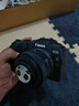 佳能（Canon）rp全画幅微单相机  4K数码高清vlog视频  佳能RP专业级微单相机 RP+RF50 F1.8镜头【小痰盂人像定焦】 套餐三【升级256G卡 专业三脚架 双肩摄影包等】 实拍图