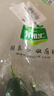 有机汇 有机水果黄瓜 生吃即食小黄瓜 轻食健康沙拉当季新鲜采摘小青瓜 500g 实拍图