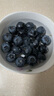 鲜级佳辽宁丹东蓝莓王【多地次日达】新鲜孕妇L25花香蓝莓礼盒怡颗蓝莓 12盒【100g/盒】畅吃分享-家庭款 巨无霸 好吃升级【单果18-20mm+】 实拍图