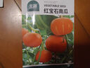 北蔬 南瓜种子苗甜糯面板栗四季庭院田间蔬菜种籽 红宝石南瓜种子10粒 实拍图