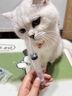派乐特 猫奶瓶幼猫小奶猫新生宠物犬小狗狗喂奶器小猫奶嘴猫咪用品150ml 实拍图
