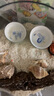 汉洋（HANYANG）贝壳沙菲律宾沙细海水沙鱼缸砂寄居蟹三湖慈鲷底沙异宠沙2斤 实拍图