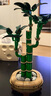 乐高（LEGO）积木拼装10344 富贵竹男孩女孩玩具生日礼物 实拍图