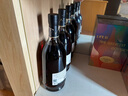 轩尼诗（Hennessy）法国干邑白兰地 洋酒 vsop xo 原瓶进口 商务宴请送礼 轩尼诗VSOP 1000mL 双支装 实拍图