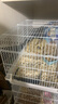 卡熙仓鼠笼子金丝熊专用超大豪华别墅47基础笼60便宜大的房子用品套装 47基础笼+水壶+食盆-白色 实拍图