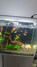 水医生硝化细菌鱼缸水族箱稳除氯气清澈剂净水分解粪便消化用品 水质稳定剂1000ml 实拍图