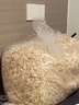 carno卡诺白杨木刨花仓鼠金丝熊专用垫料祛味用品 中刨花1.5kg 实拍图