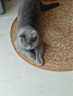 憨憨乐园猫抓板防剑麻草绳猫爪板猫抓垫不掉屑磨爪猫爪垫地毯睡垫用品 实拍图