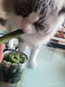 HELLOJOY猫草棒猫咪磨牙棒零食猫草冻干成幼猫化毛球排毛猫草片 80g/罐 实拍图