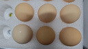 岽鲜活珠子新鲜13天五香香辣味开袋即食毛蛋活珠子鸡胚蛋熟钢化蛋鸡蛋 香辣活珠子40枚1600g 实拍图
