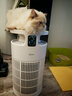 美的家用宠物空气净化器 吸猫毛除过敏源猫猫搭子猫毛净化器杀菌消毒除猫狗异味 卫健委备案 小怪兽PET500【宠物专享】【家电国家补贴】 实拍图