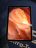 Apple/苹果 iPad mini (A17 Pro) 8.3英寸 平板电脑(256G eSIM版/mini7/MXQ63CH/A)星光色 实拍图