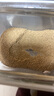 味之素 鲣鱼粉木鱼素120g 日本进口  海鲜风味调味料柴鱼粉 关东煮汤料 实拍图