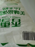 香雪面粉 美味富强粉 小麦粉 中筋面粉10斤 实拍图
