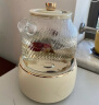 World Kitchen康宁全玻璃养生壶恒温壶煮茶壶煮茶器1L办公室家用花茶壶烧水壶电热水壶煮水壶（茶漏炖盅升级款） 实拍图