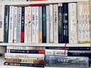 黎紫书：流俗地（《亚洲周刊》2020年度十大小说，王德威、王安忆、董启章倾力推荐，华语文学的惊喜收获） 小说 实拍图
