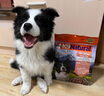 K9 Natural羊肉帝王鲑500g/1斤 生骨肉主食冻干狗粮 全阶段通用 新西兰进口 实拍图