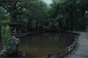 索尼（SONY）FE 24-70mm F2.8 GM II 全画幅标准变焦 G大师镜头(SEL2470GM2) 实拍图