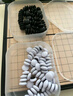 Toylezhi围棋五子棋磁性套装便携折叠棋盘儿童入门教学益智玩具磁石棋盘 实拍图