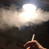 施华洛世奇天鹅项链女锁骨链轻奢高档礼物送老婆送女友情人节礼物生日礼物 黑天鹅玫瑰金(大号5204134) 实拍图
