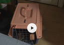 家有一宠宠物航空箱猫包便携外出猫咪狗狗笼子车载太空舱国航标准托运箱子 实拍图
