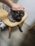 Orijen渴望猫粮 成猫幼猫干粮 全价通用无谷原味鸡肉进口5.4kg效期25/12 实拍图