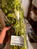带根香菜100g 实拍图