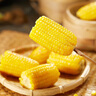 京鲜生 东北黄糯玉米250g*10棒 新鲜甜糯玉米棒真空包装粘玉米 源头直发 实拍图