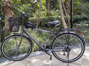 凤凰 自行车成人男式通勤26寸城市代步变速脚踏复古28老式单车 马斯特 玻璃黑变速 实拍图