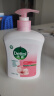 滴露（Dettol）洗手液滋润500g*6 抑菌洗手液家庭装大桶儿童消毒无酒精温和护手 实拍图