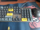 罗技（Logitech）K845机械键盘 有线键盘 办公电脑打字键盘 电竞游戏发光全尺寸个性化定制键帽卡皮巴拉 生日礼物 【K845露营之夜限定礼盒】红轴 实拍图