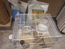 布卡星仓鼠玉米砂垫料小宠夏天清凉除臭透气金丝熊龙猫兔子用品2.5kg 实拍图