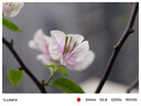 松下24-60mm F2.8全画幅微单相机标准变焦镜头（Panasonic）（S-E2460GK）L卡口 风景 肖像 特写 实拍图
