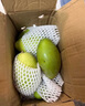 田良季广西金煌芒果特大芒大青玉水仙新鲜芒果凯特生鲜水果送礼品物盒 净重3斤装【尝鲜】 甄选特级果【单果250-300g】 实拍图