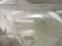 黑壳虾活体观赏花腰虾除藻虾辣椒蟹淡水鱼草缸虾苹果螺清洁虾工具 除藻迷你辣椒蟹6只包活5只 晒单实拍图