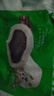 安井 红豆包 1kg 2斤装约33个 豆沙包 广式早茶糕点点心 家庭装面点 实拍图