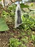 yuanyiba水果套袋防鸟防虫专用网袋葡萄无花果枇杷芒果草莓桃子保护袋子 35x50cm/10个/西瓜南瓜冬瓜 实拍图