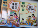 2025新版斗半匠语文课堂笔记三年级下册人教版同步教材随堂笔记教材全解小学生课前预习单课后复习辅导书 实拍图